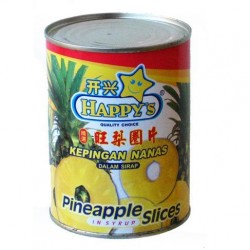 Pineapple Slices in Juice Pineapple Slices in Juice
